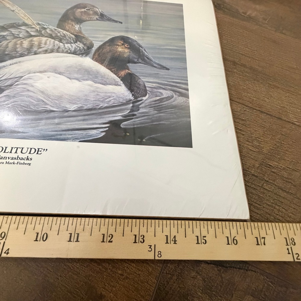 Laura Mark-Finberg Solitude Canvasbacks Print 18x14 Ducks Waterfowl - Picture 5 of 16